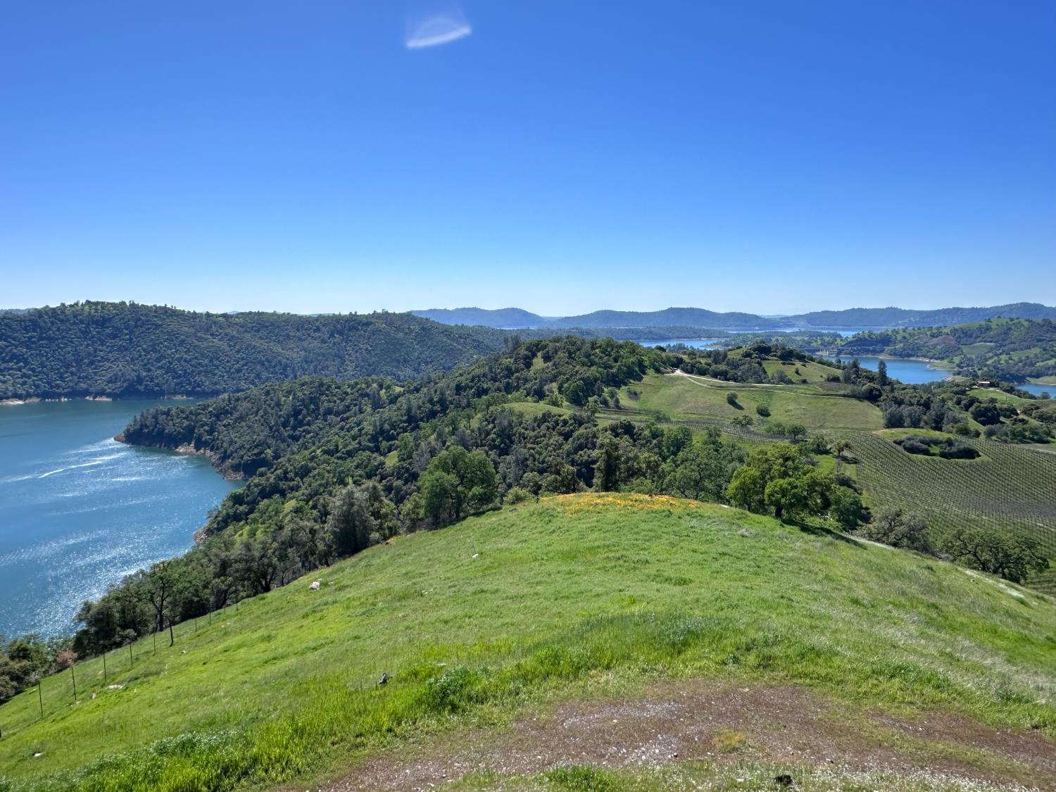 8055 Airola Road Angels Camp, CA 95222 - Photo 23 of 37