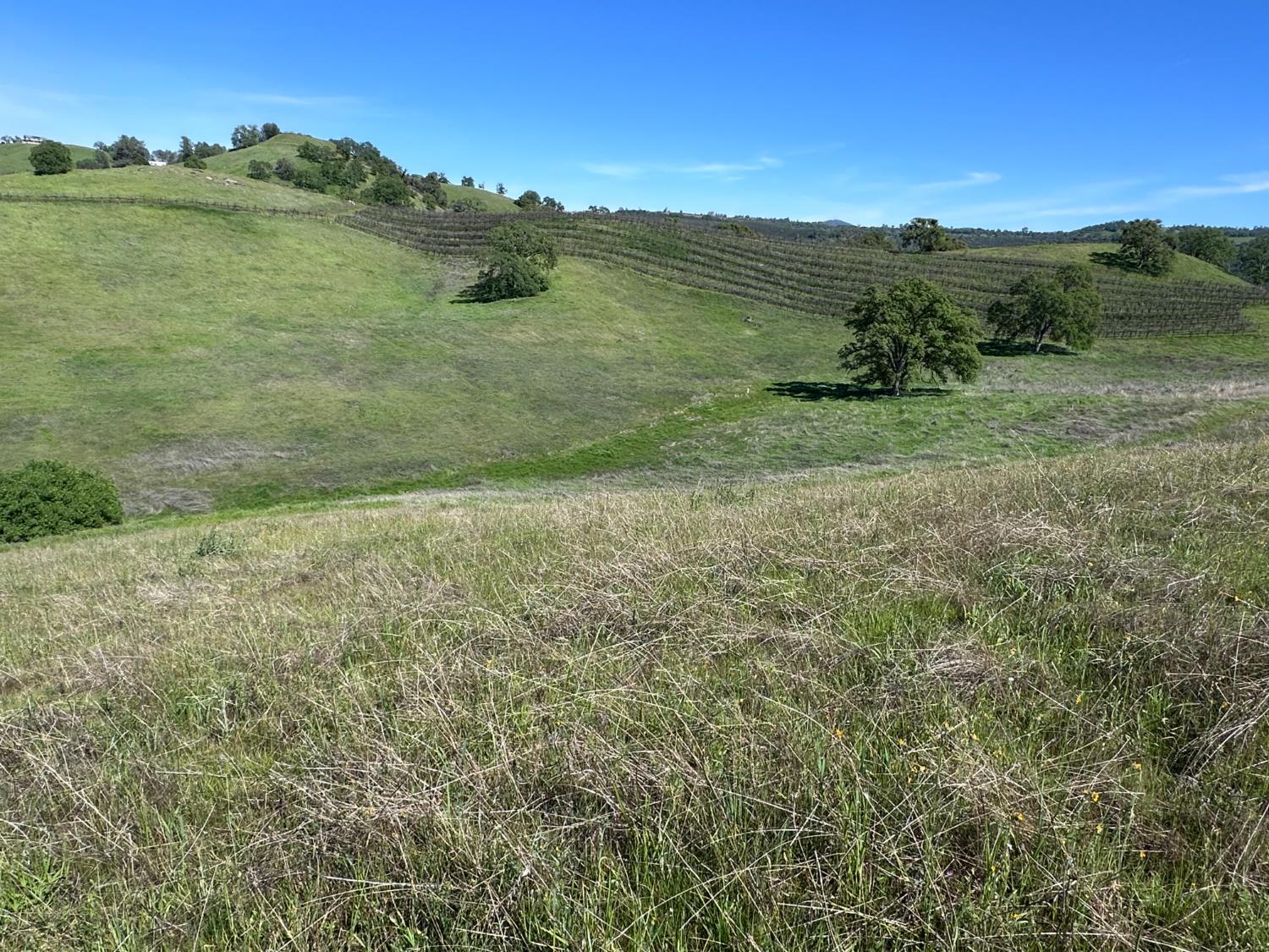 8055 Airola Road Angels Camp, CA 95222 - Photo 30 of 37