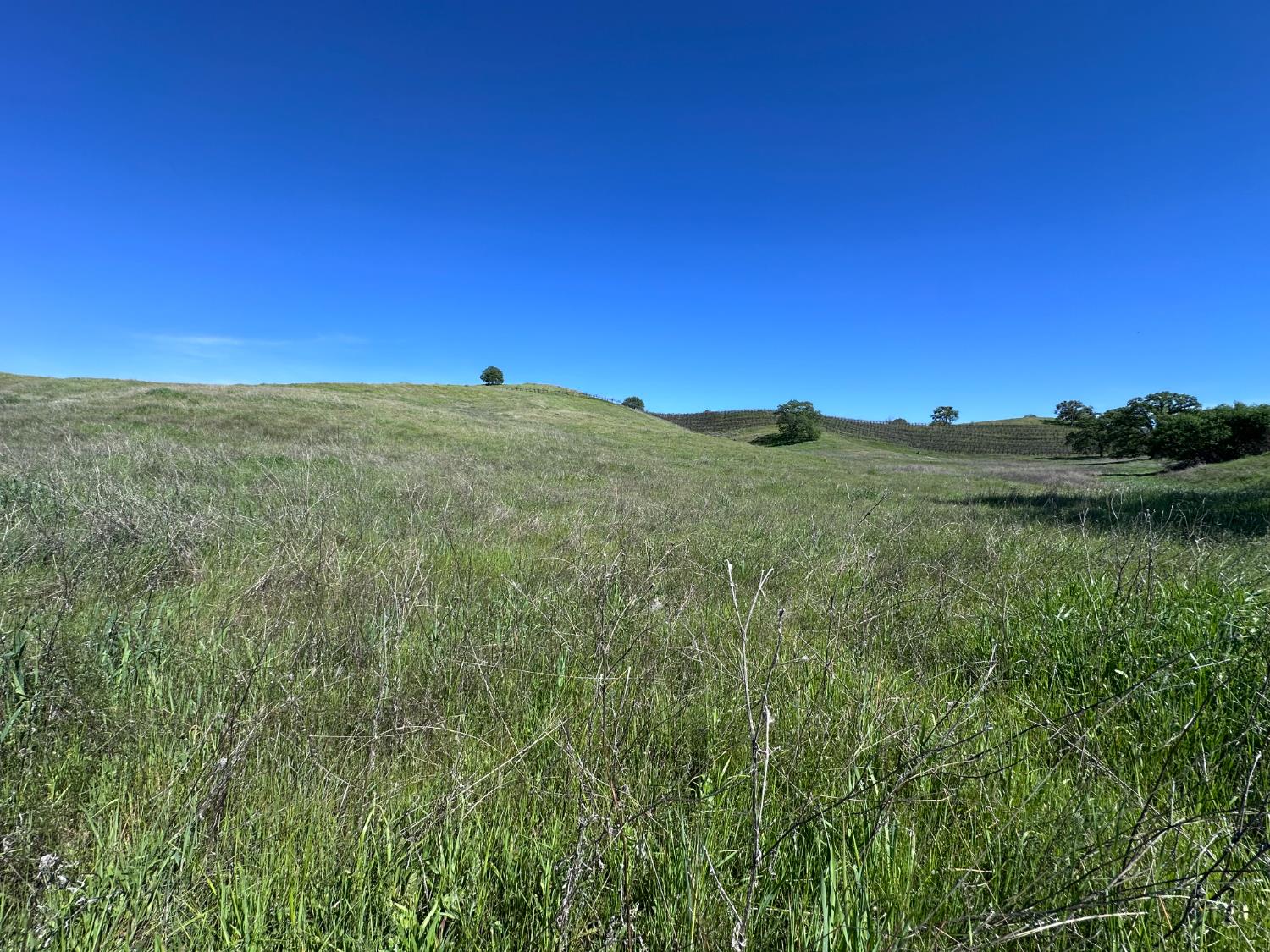 8055 Airola Road Angels Camp, CA 95222 - Photo 31 of 37