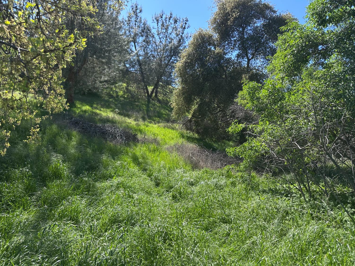 8055 Airola Road Angels Camp, CA 95222 - Photo 32 of 37