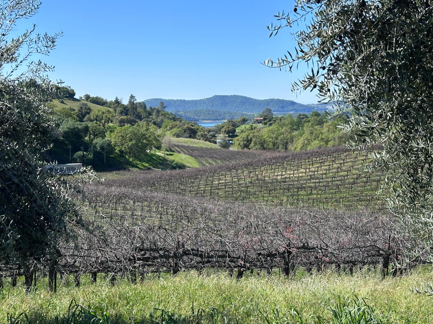 8055 Airola Road Angels Camp, CA 95222 - Photo 7 of 37