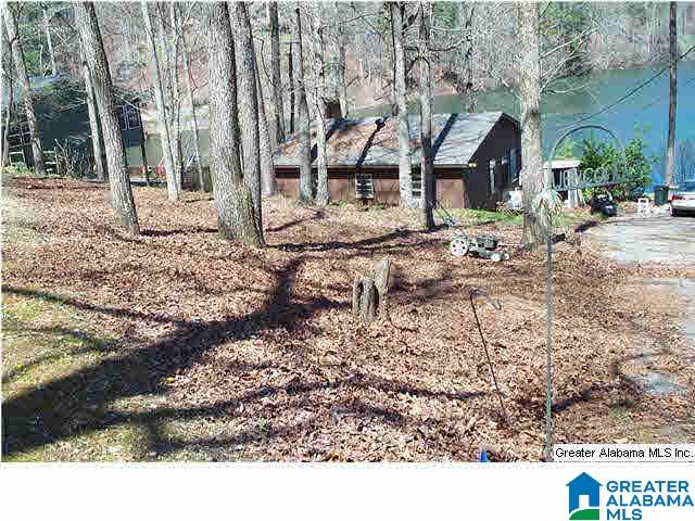 310 County Road 921 Delta, AL 36258 - Photo 1 of 14