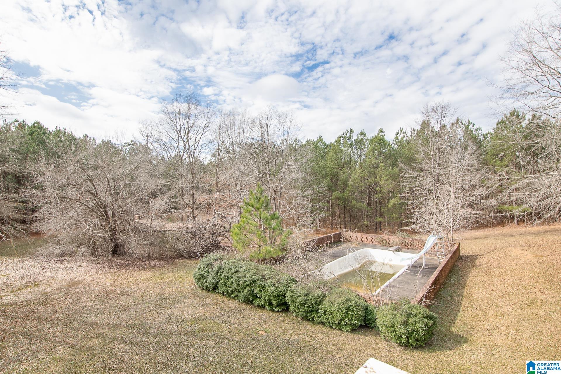 6987 Blue Creek Road Brookwood, AL 35444 - Photo 42 of 49