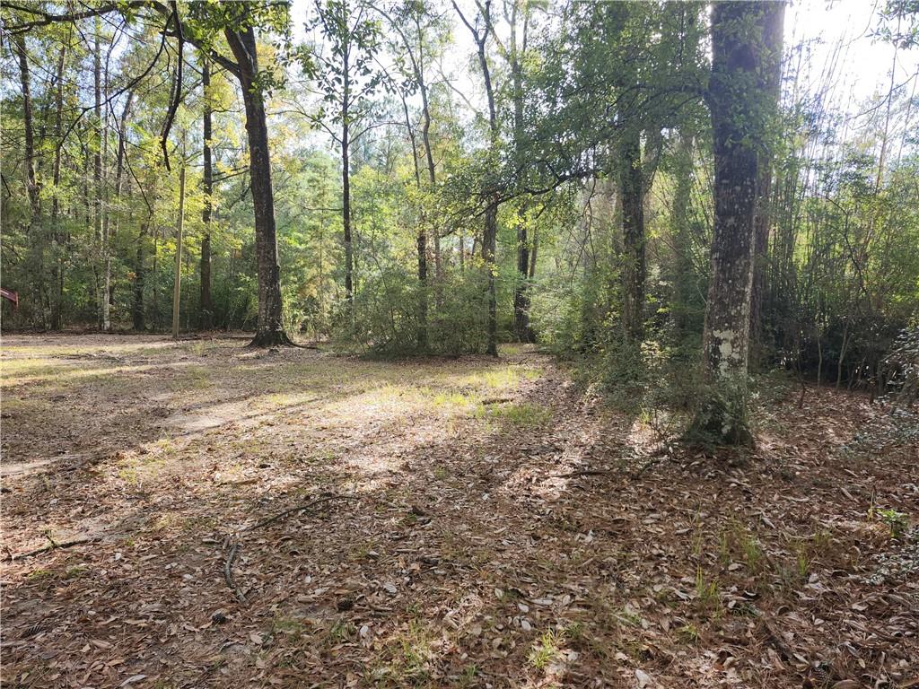 73414 River Road Covington, LA 70435 - Photo 1 of 10