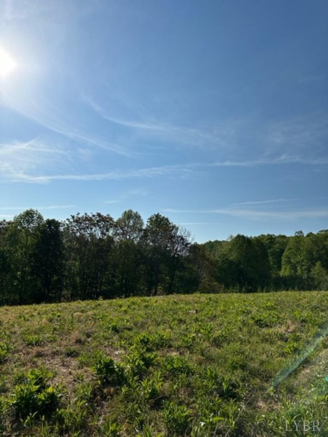 2 A Police Tower Road Appomattox, VA 24522 - Photo 11 of 14 a view of a yard