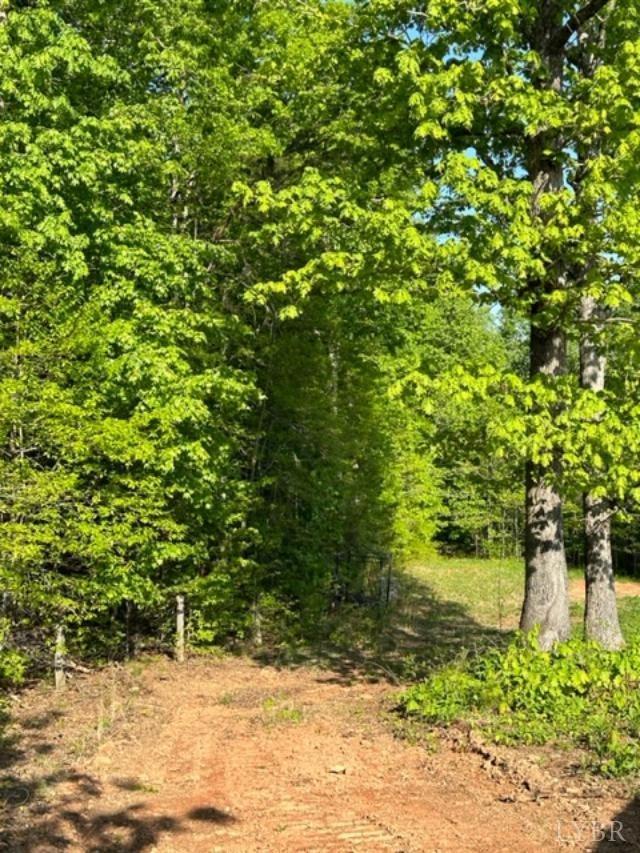 2 A Police Tower Road Appomattox, VA 24522 - Photo 13 of 14 a view of a yard with a tree