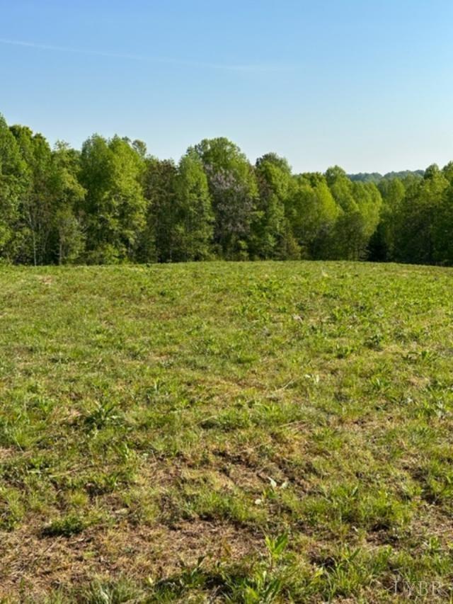 2 A Police Tower Road Appomattox, VA 24522 - Photo 7 of 14 a view of a yard