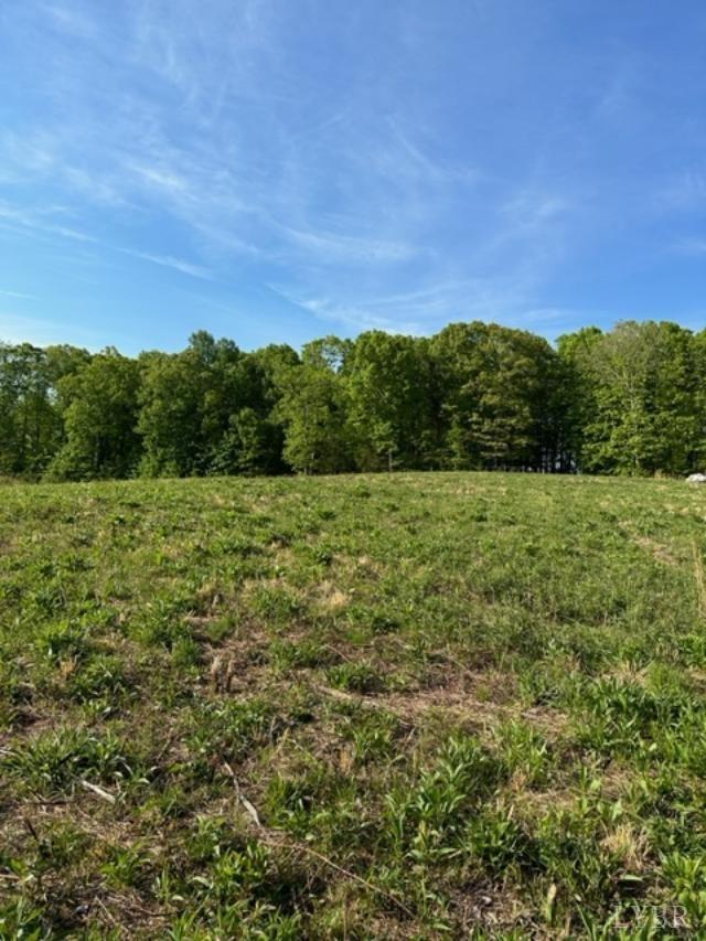 2 A Police Tower Road Appomattox, VA 24522 - Photo 10 of 14 a view of a field with an ocean