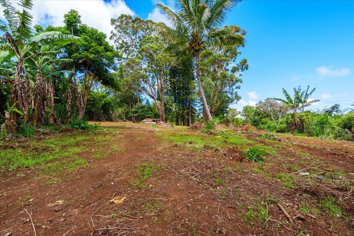 2175 Kauhikoa Road, Unit 7 Haiku, HI 96708 - Photo 7 of 21