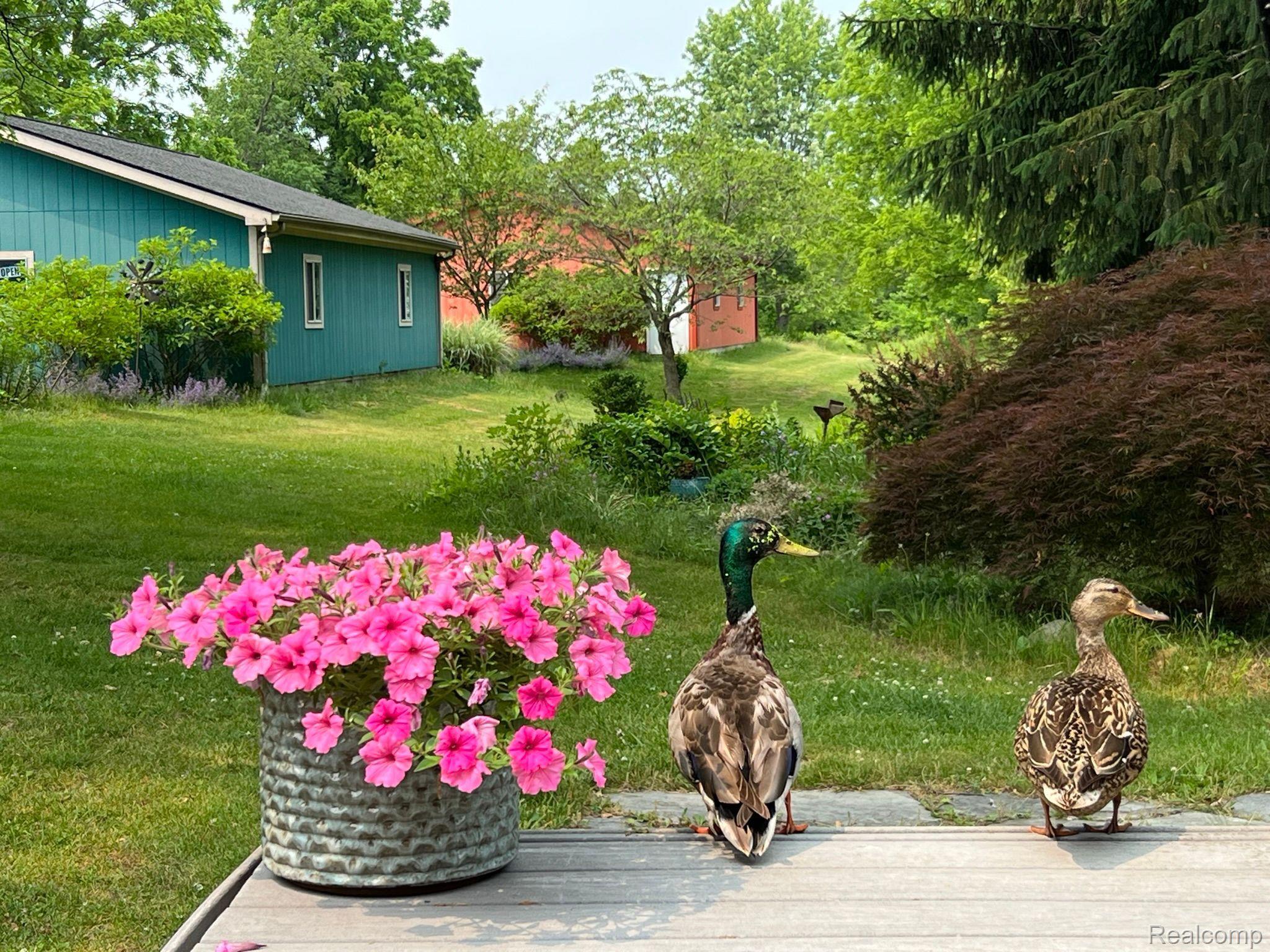 46210 West 11 Mile Road Novi, MI 48374 - Photo 75 of 97 Gallery Image 75