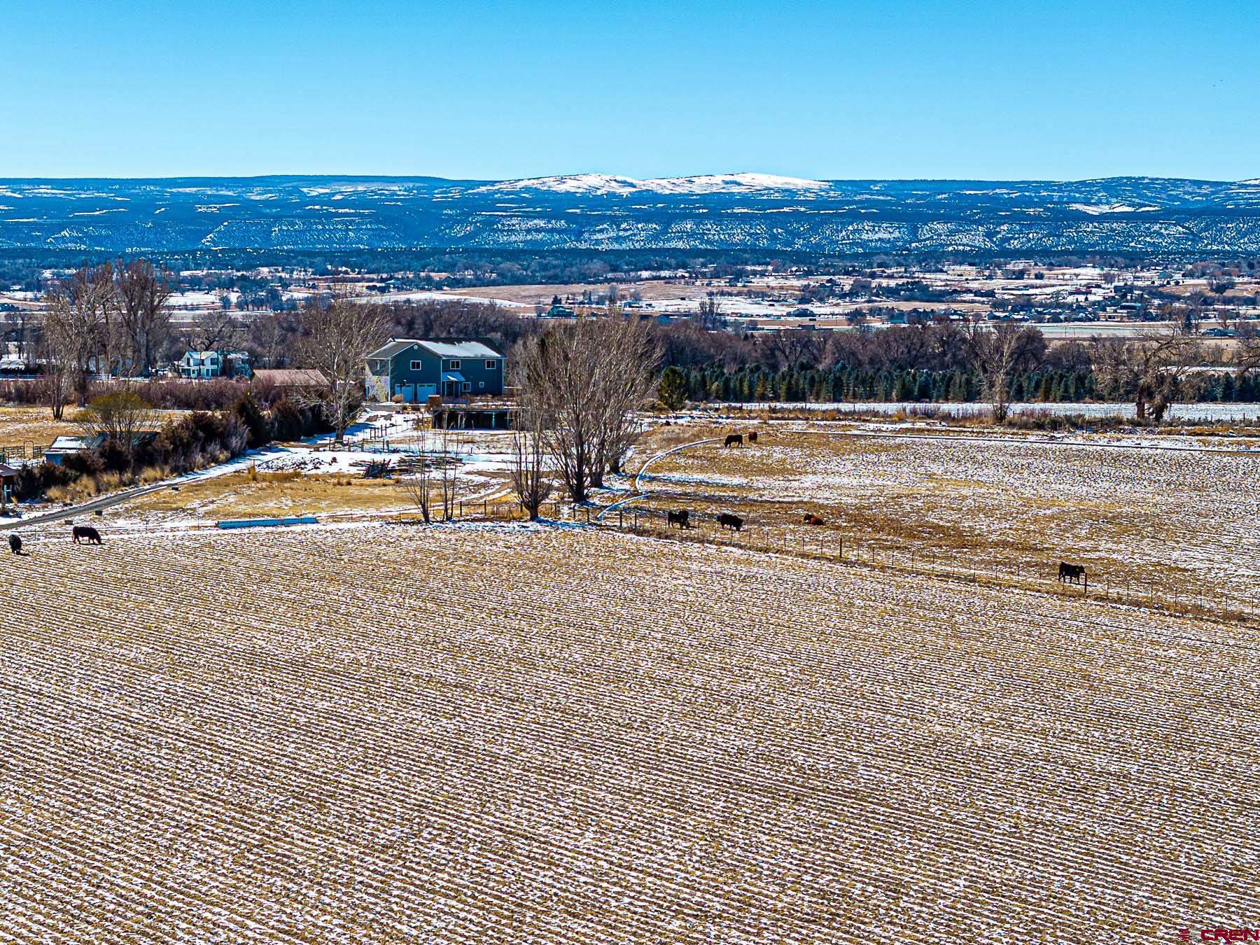 12689 6100th Road Montrose, CO 81403 - Photo 3 of 45