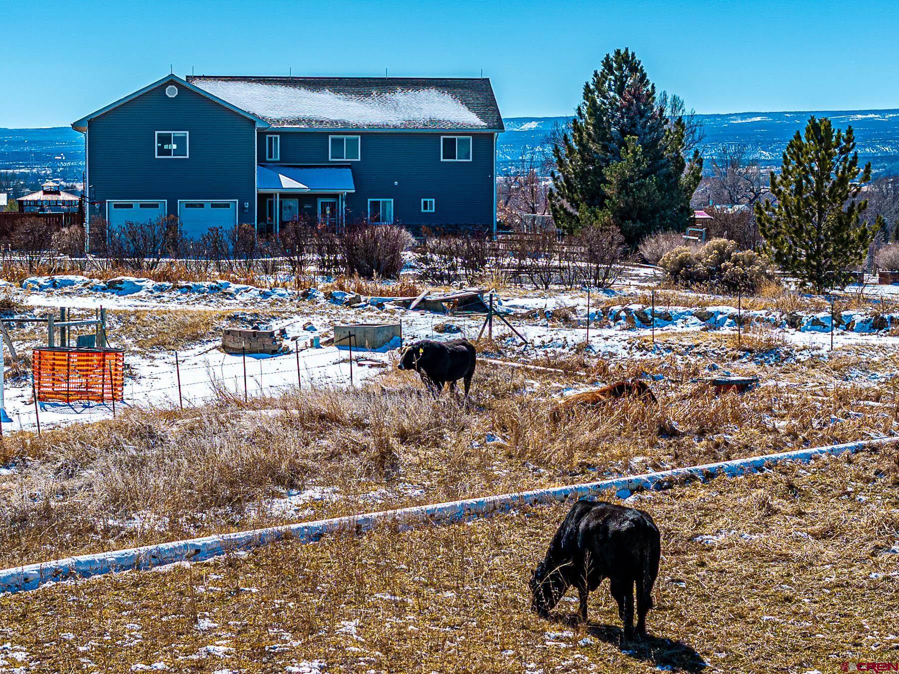 12689 6100th Road Montrose, CO 81403 - Photo 37 of 45 a view of swimming pool with outdoor seating and plants