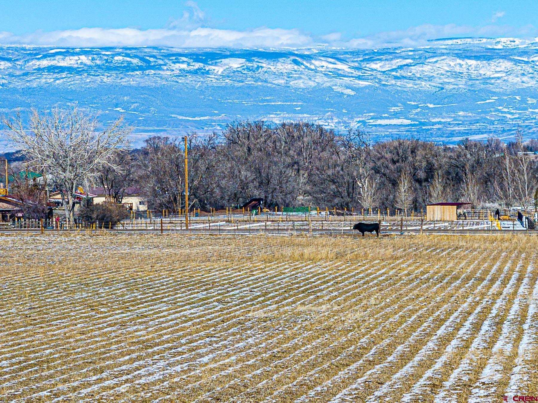 12689 6100th Road Montrose, CO 81403 - Photo 43 of 45 a view of ocean view