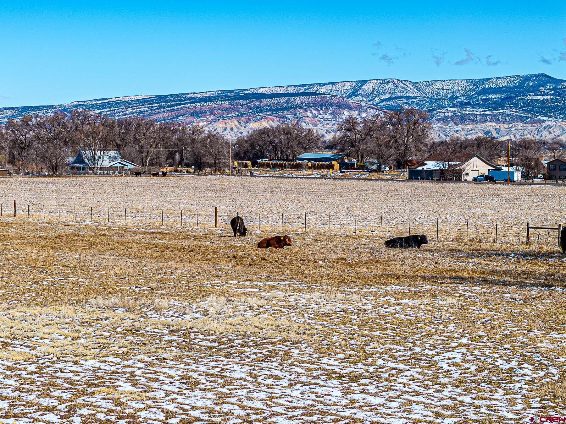 12689 6100th Road Montrose, CO 81403 - Photo 44 of 45 a view of ocean view