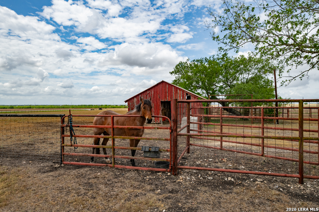 1414 Branch Seguin, TX 78155 - Photo 19 of 29