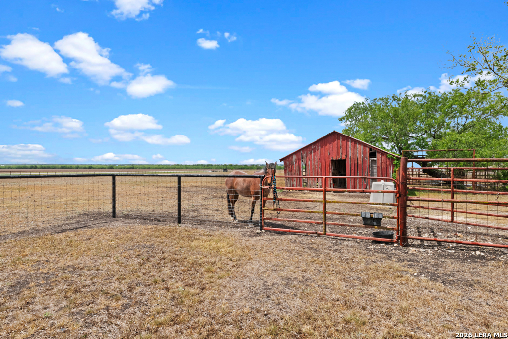 1414 Branch Seguin, TX 78155 - Photo 3 of 29