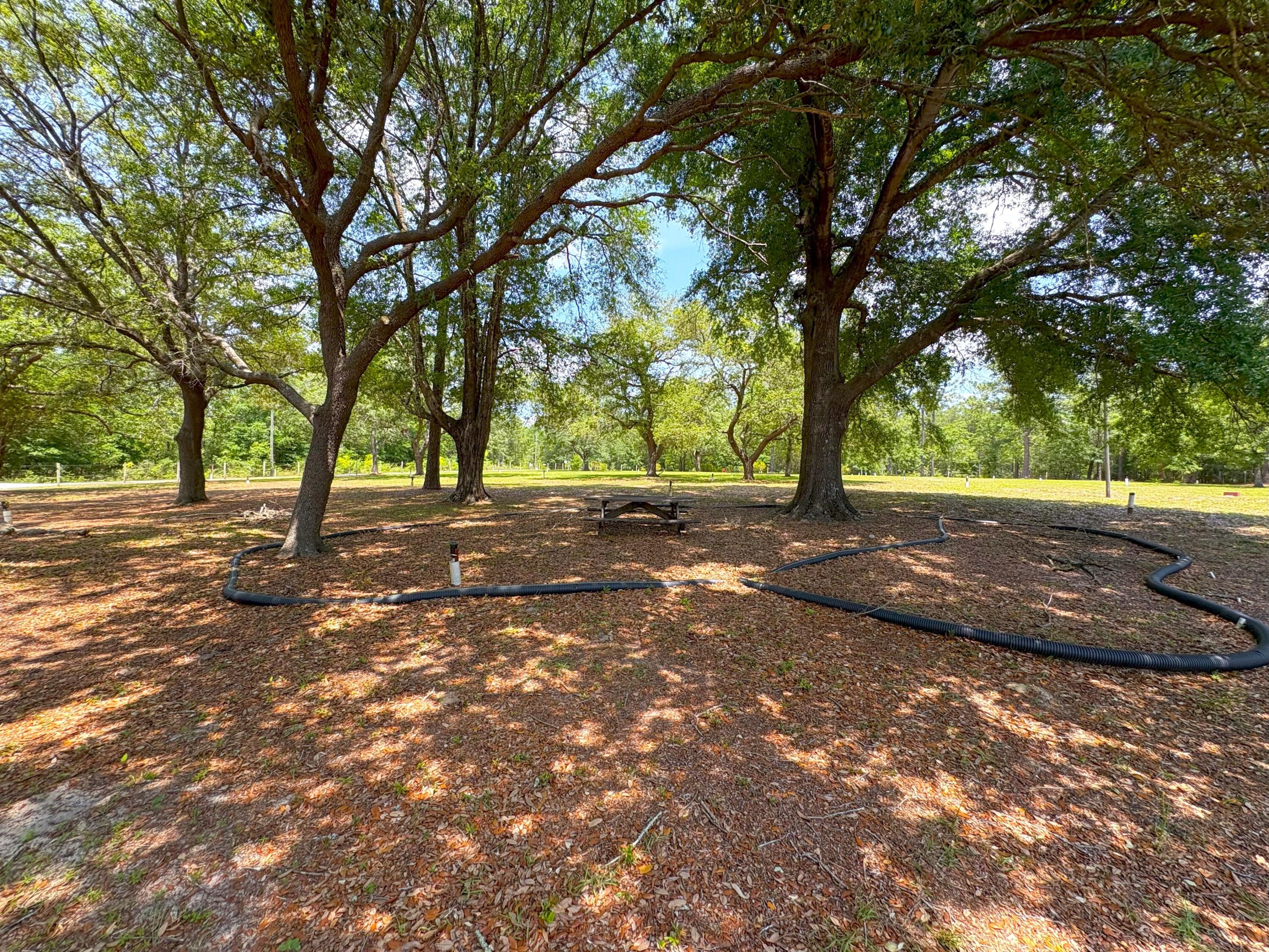 3864 Bear Head Road Crestview, FL 32539 - Photo 18 of 57 a view of road with tree