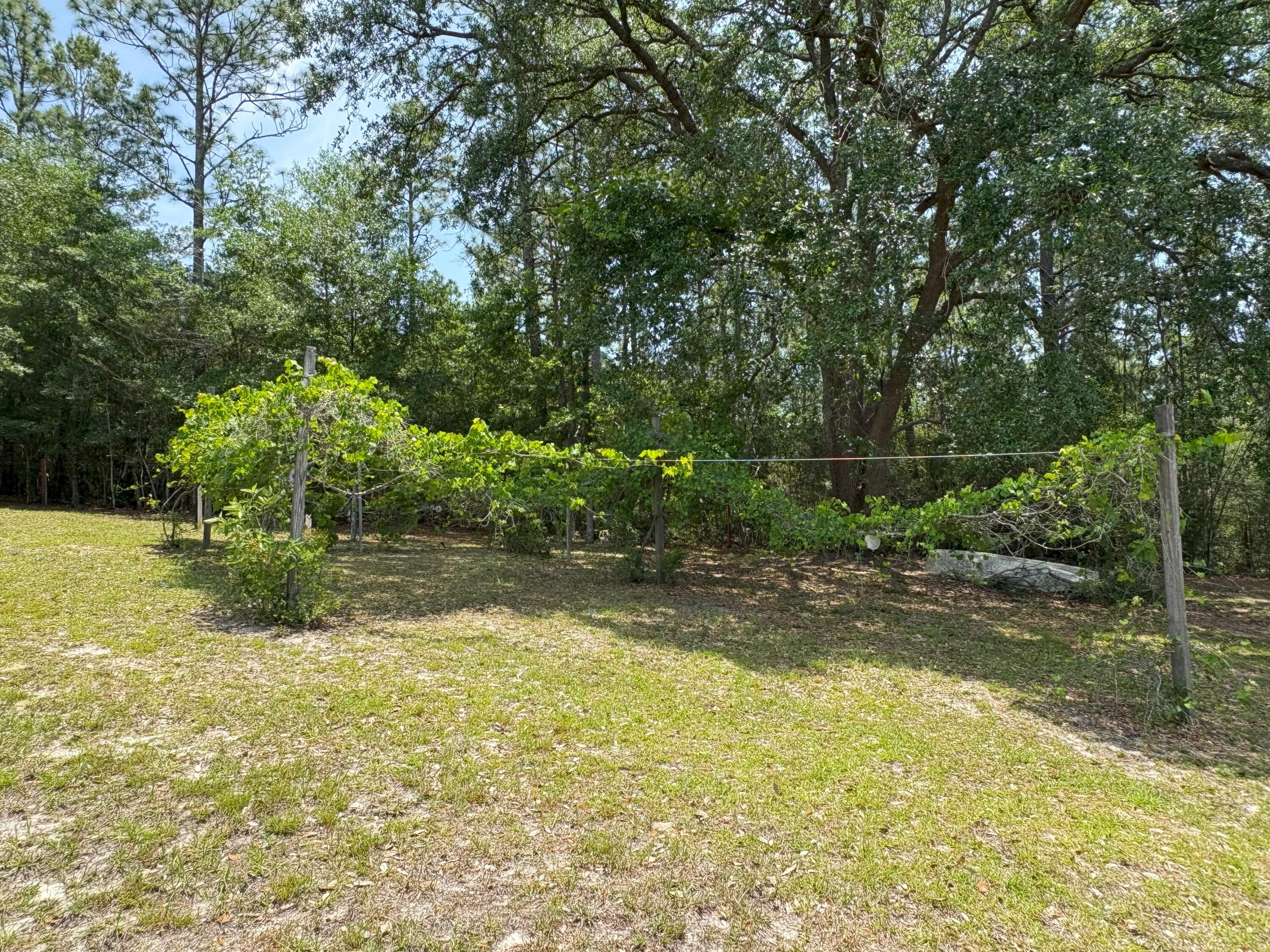 3864 Bear Head Road Crestview, FL 32539 - Photo 25 of 57 a view of swimming pool with a yard