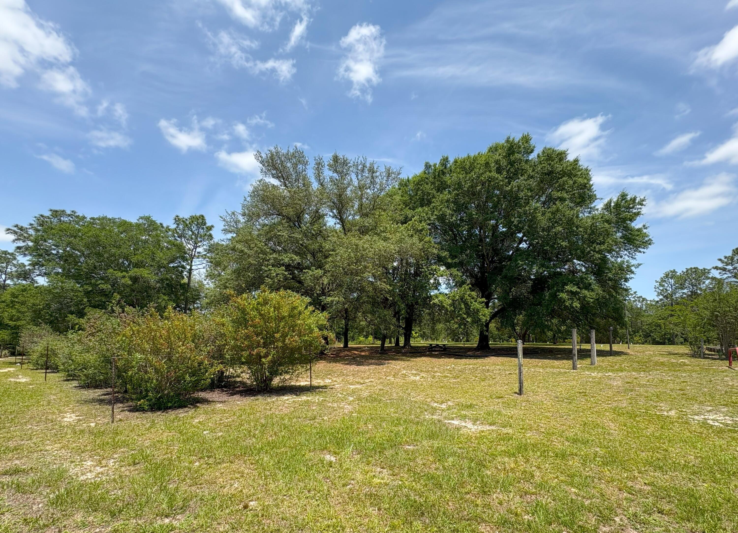 3864 Bear Head Road Crestview, FL 32539 - Photo 29 of 57 a view of a field with trees in the background