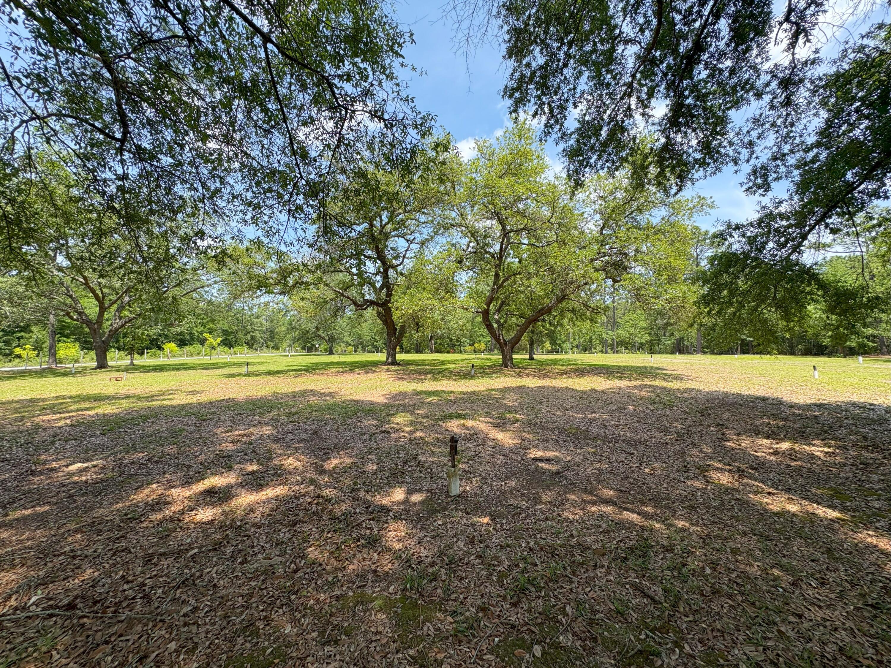 3864 Bear Head Road Crestview, FL 32539 - Photo 30 of 57 a view of outdoor space with trees