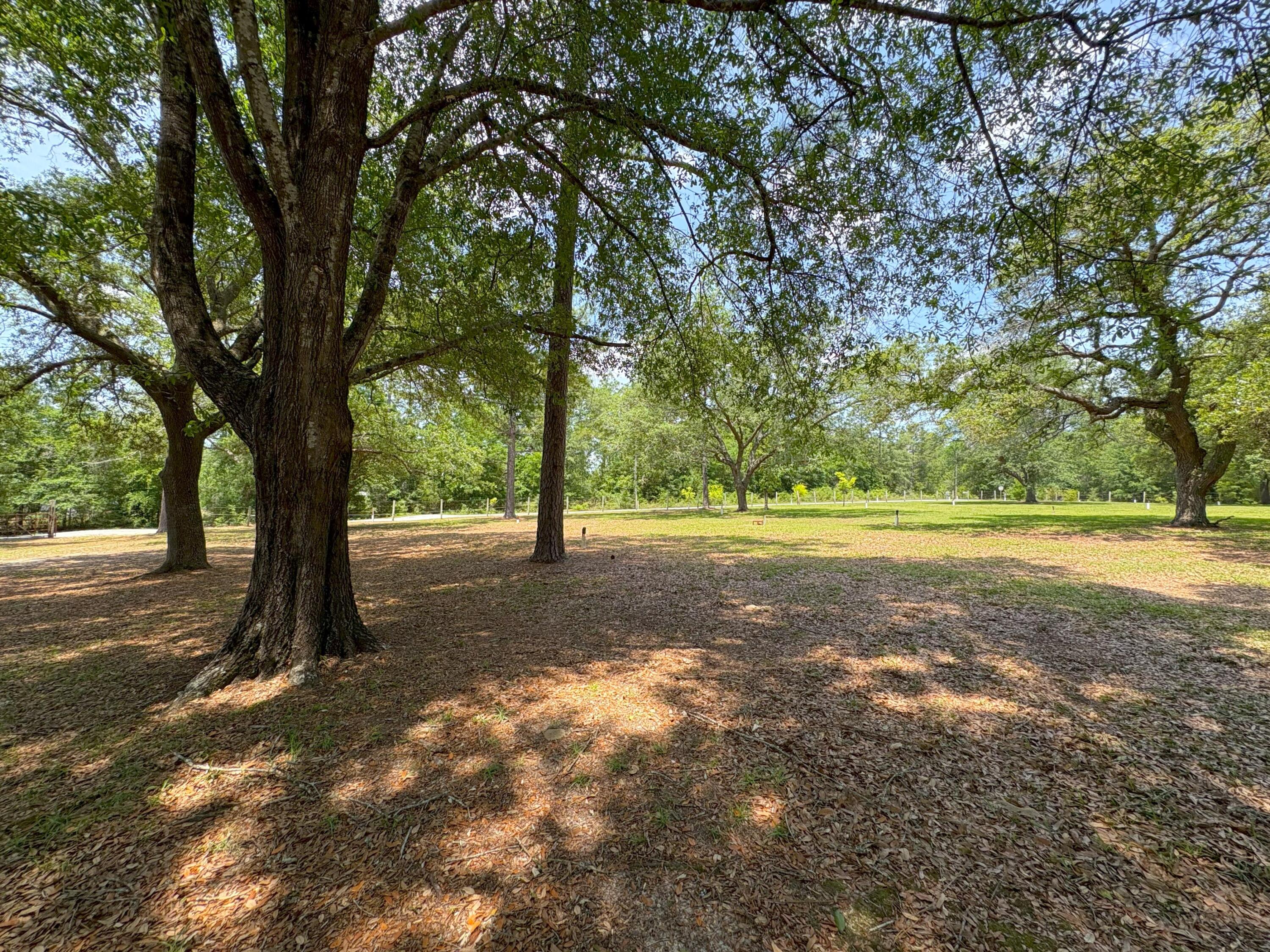 3864 Bear Head Road Crestview, FL 32539 - Photo 31 of 57 a view of outdoor space with trees