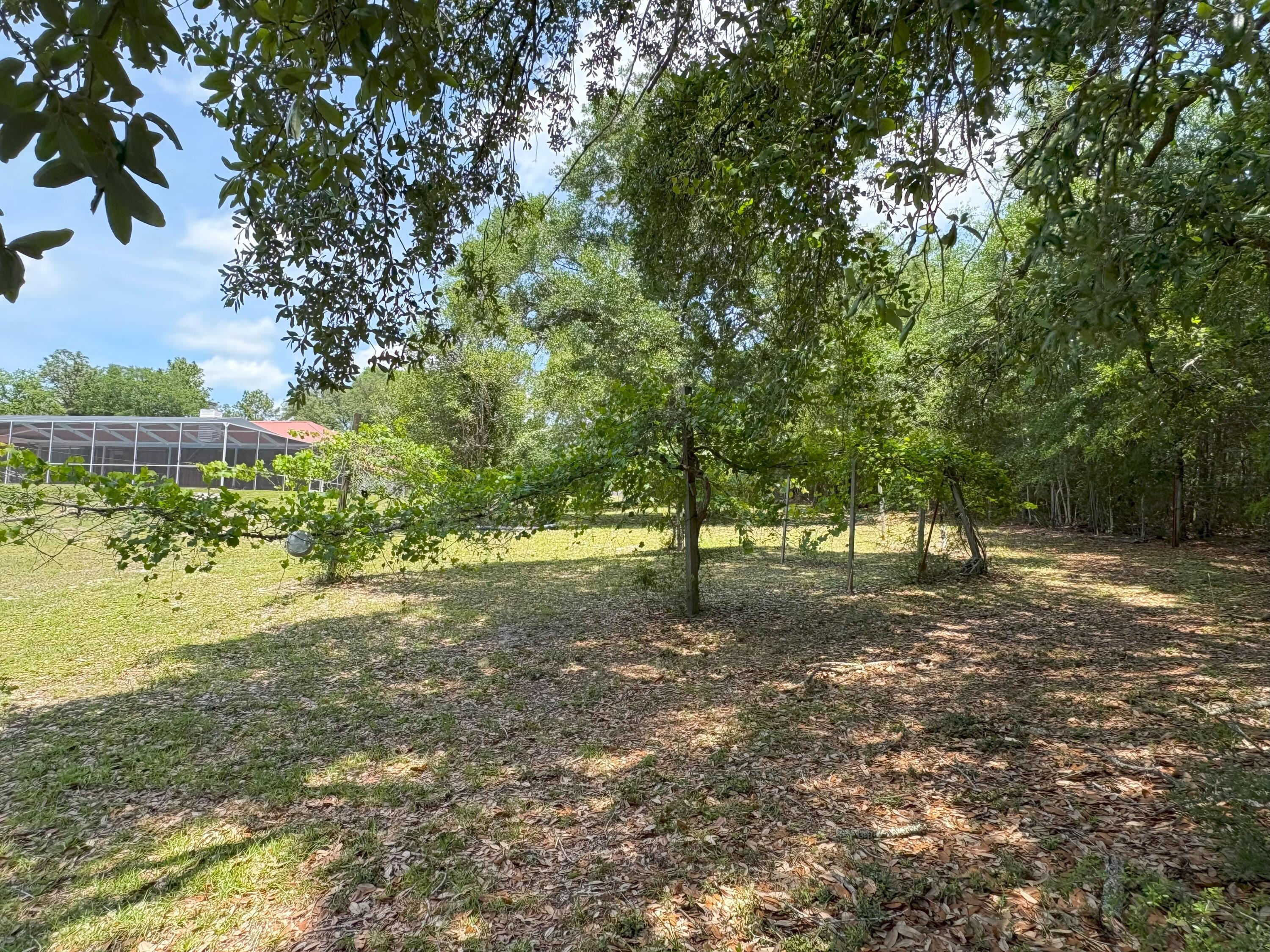3864 Bear Head Road Crestview, FL 32539 - Photo 39 of 57 a view of a yard with a tree