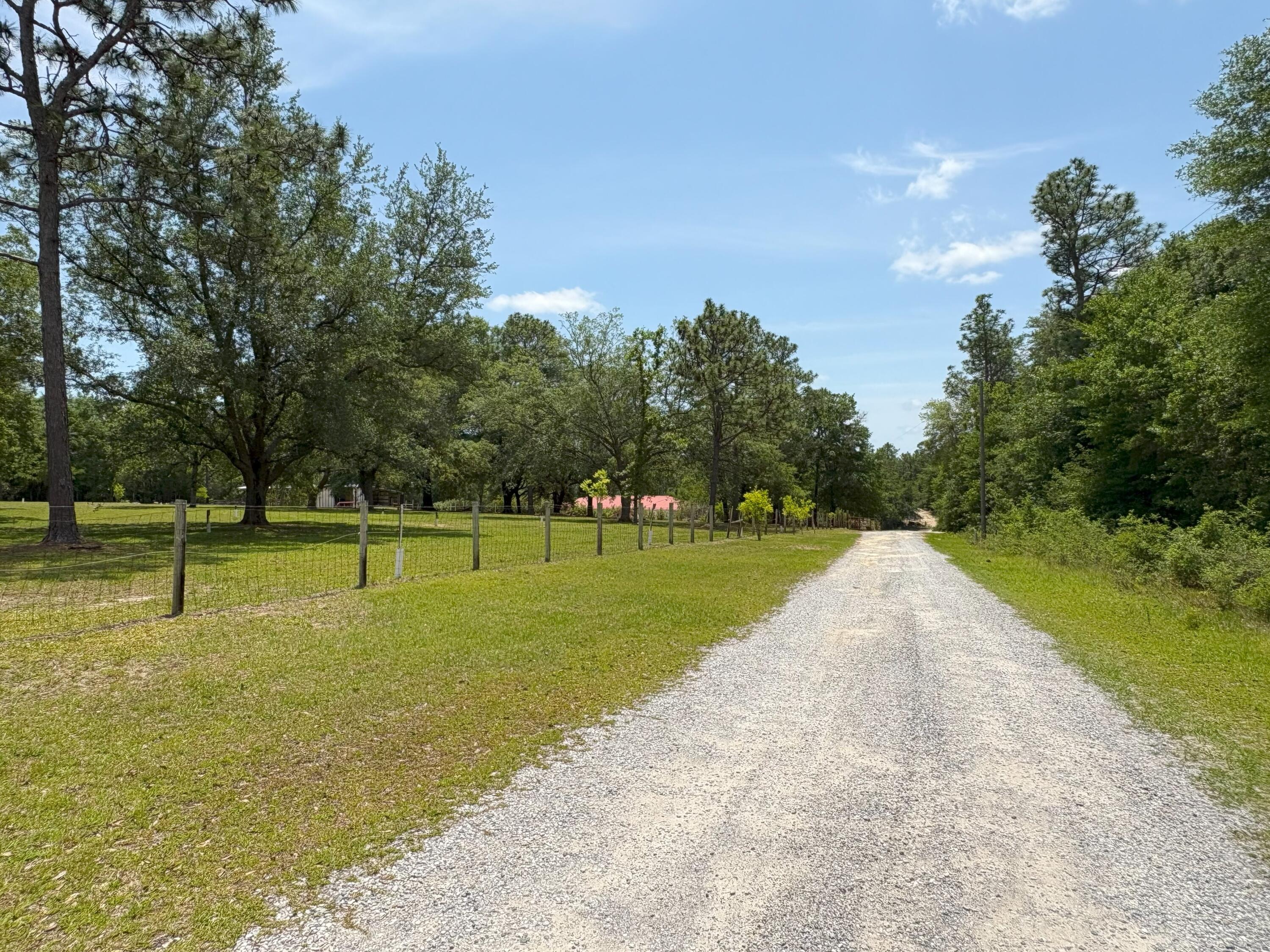 3864 Bear Head Road Crestview, FL 32539 - Photo 44 of 57 a view of a park with large trees