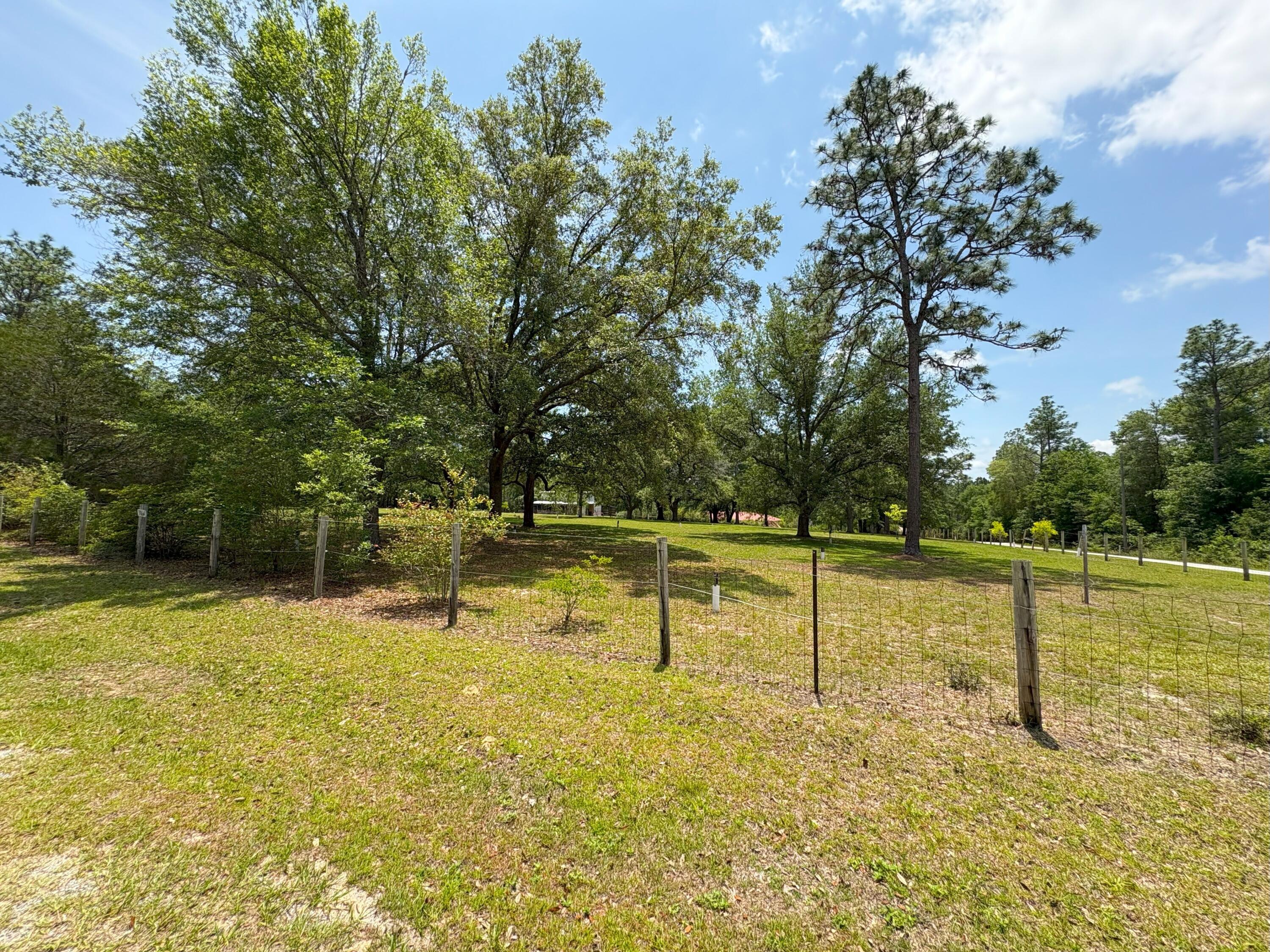 3864 Bear Head Road Crestview, FL 32539 - Photo 46 of 57 a view of a park with large trees