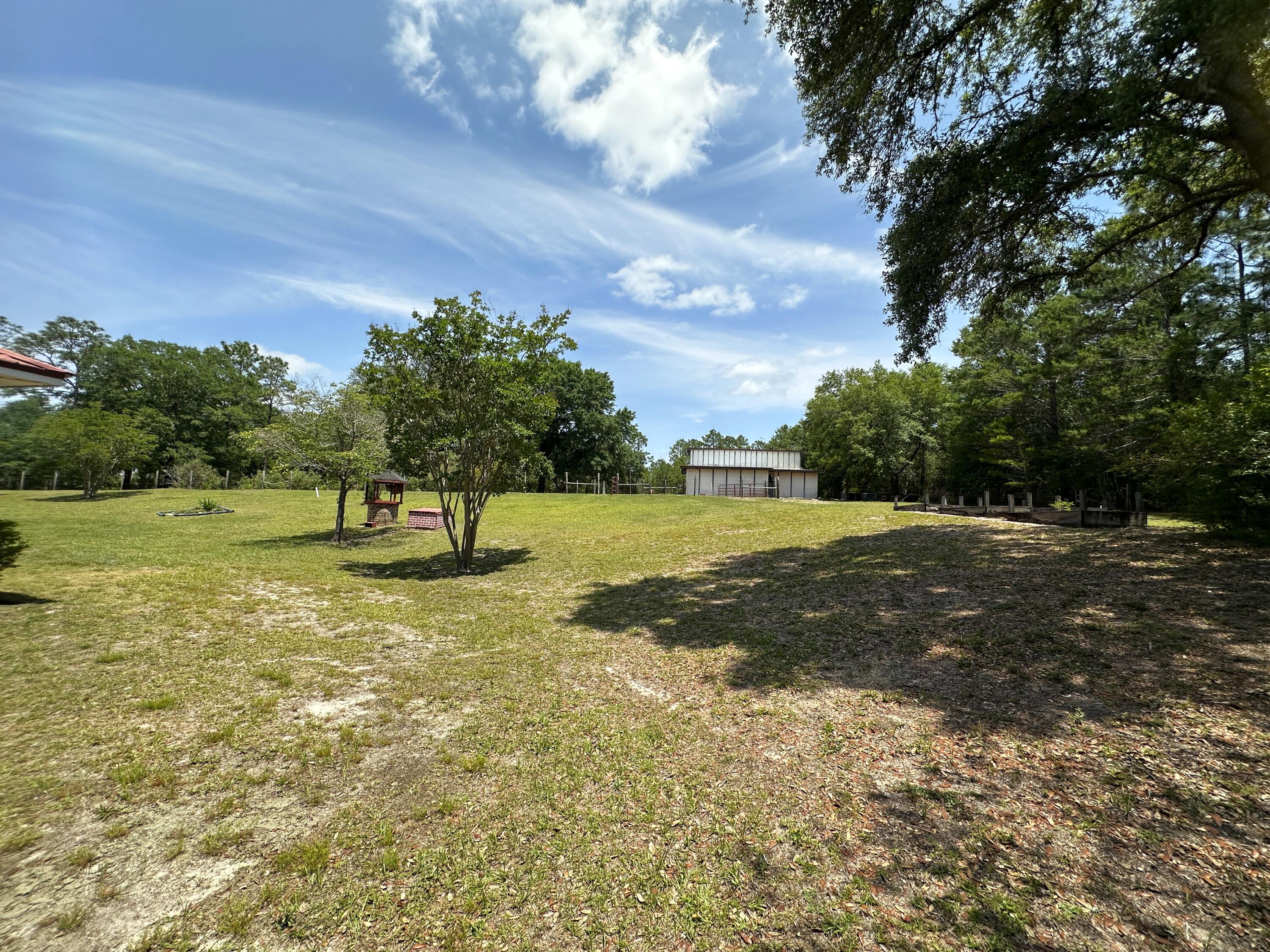 3864 Bear Head Road Crestview, FL 32539 - Photo 51 of 57 a view of a yard with a tree