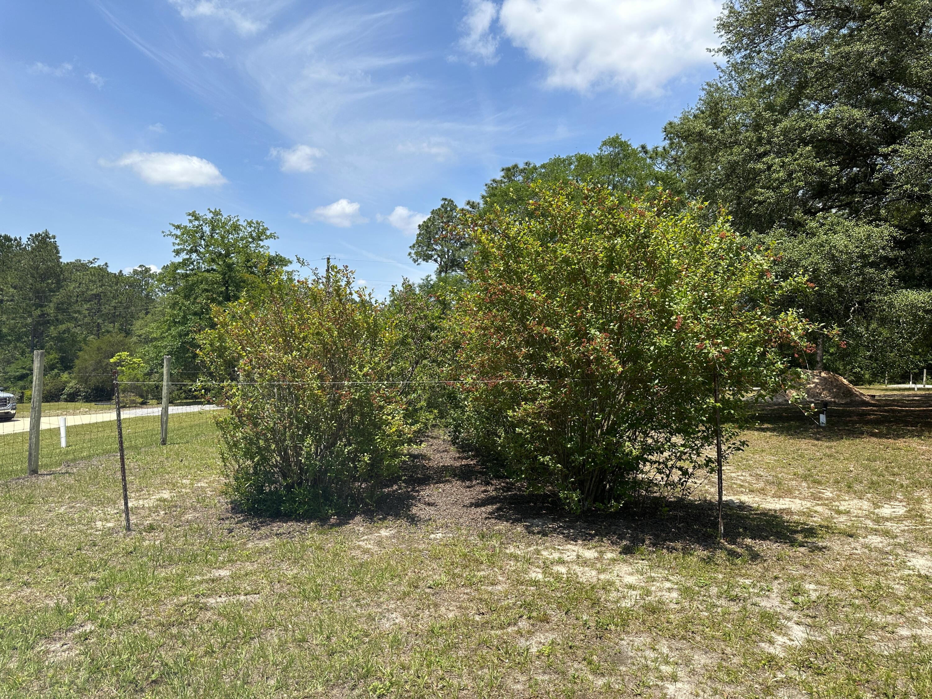 3864 Bear Head Road Crestview, FL 32539 - Photo 54 of 57 a view of a backyard