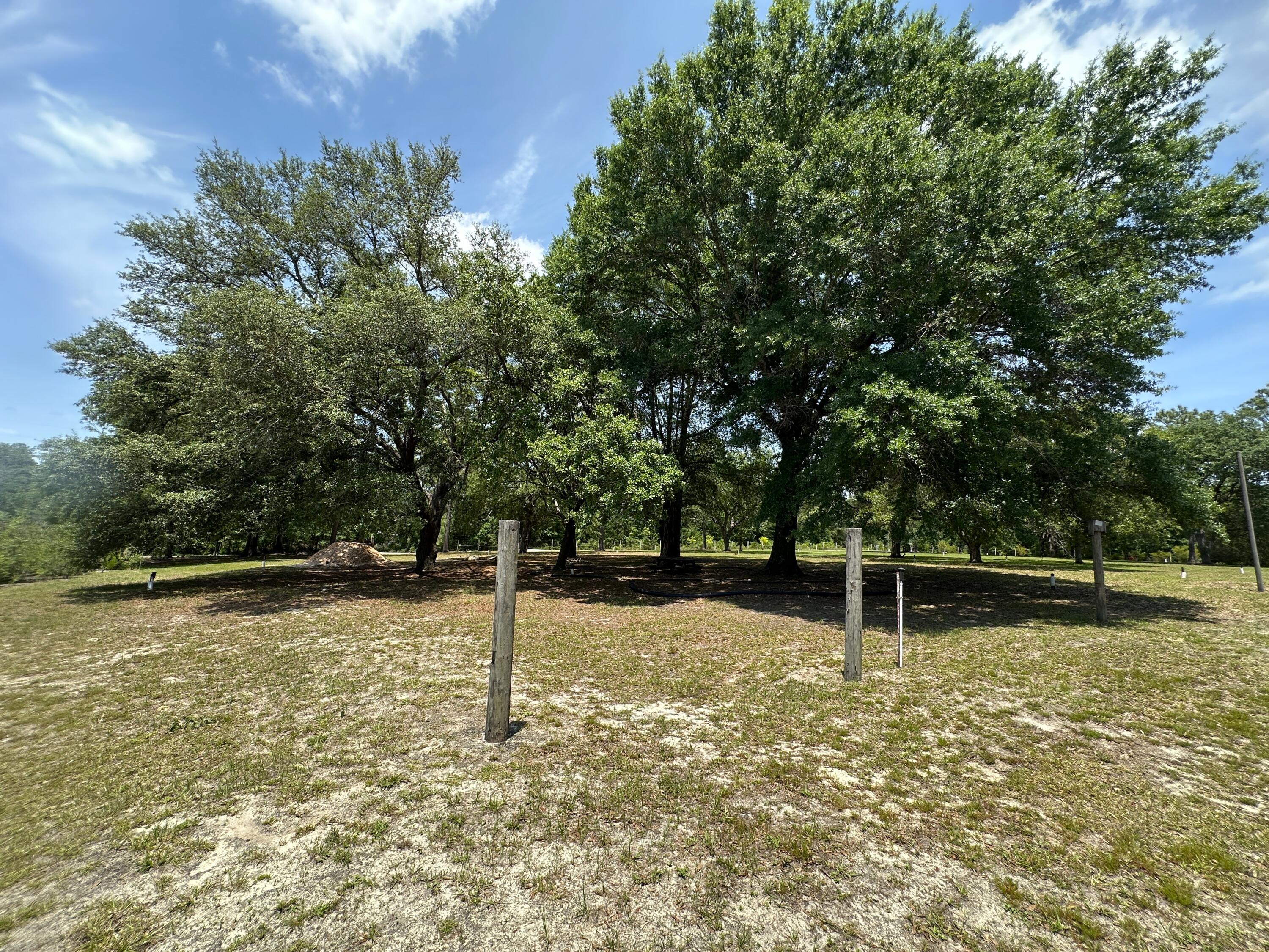 3864 Bear Head Road Crestview, FL 32539 - Photo 56 of 57 a backyard of a house with lots of green space
