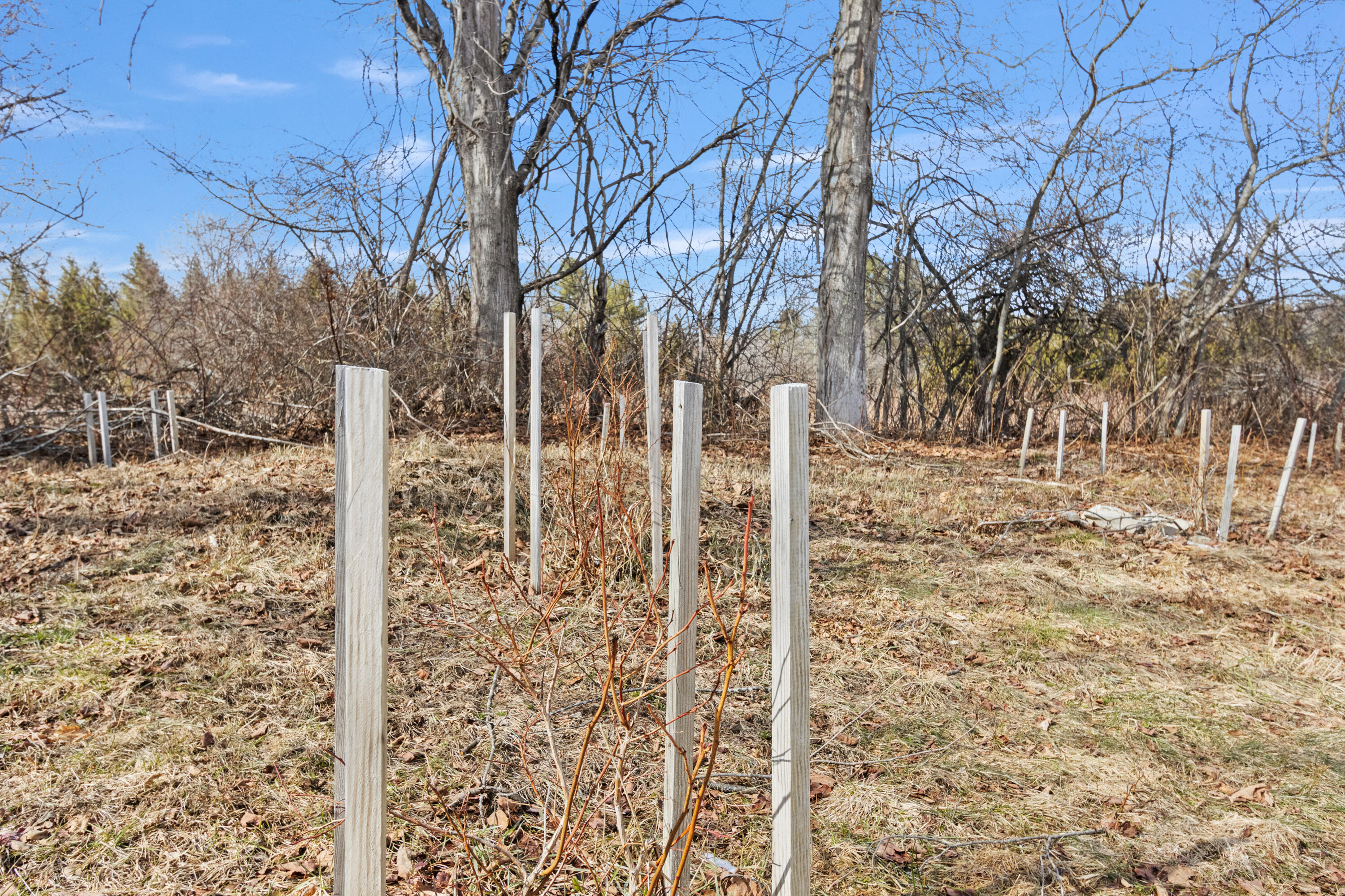 823 North Road North Yarmouth, ME 04097 - Photo 48 of 62 20260324LB-71071