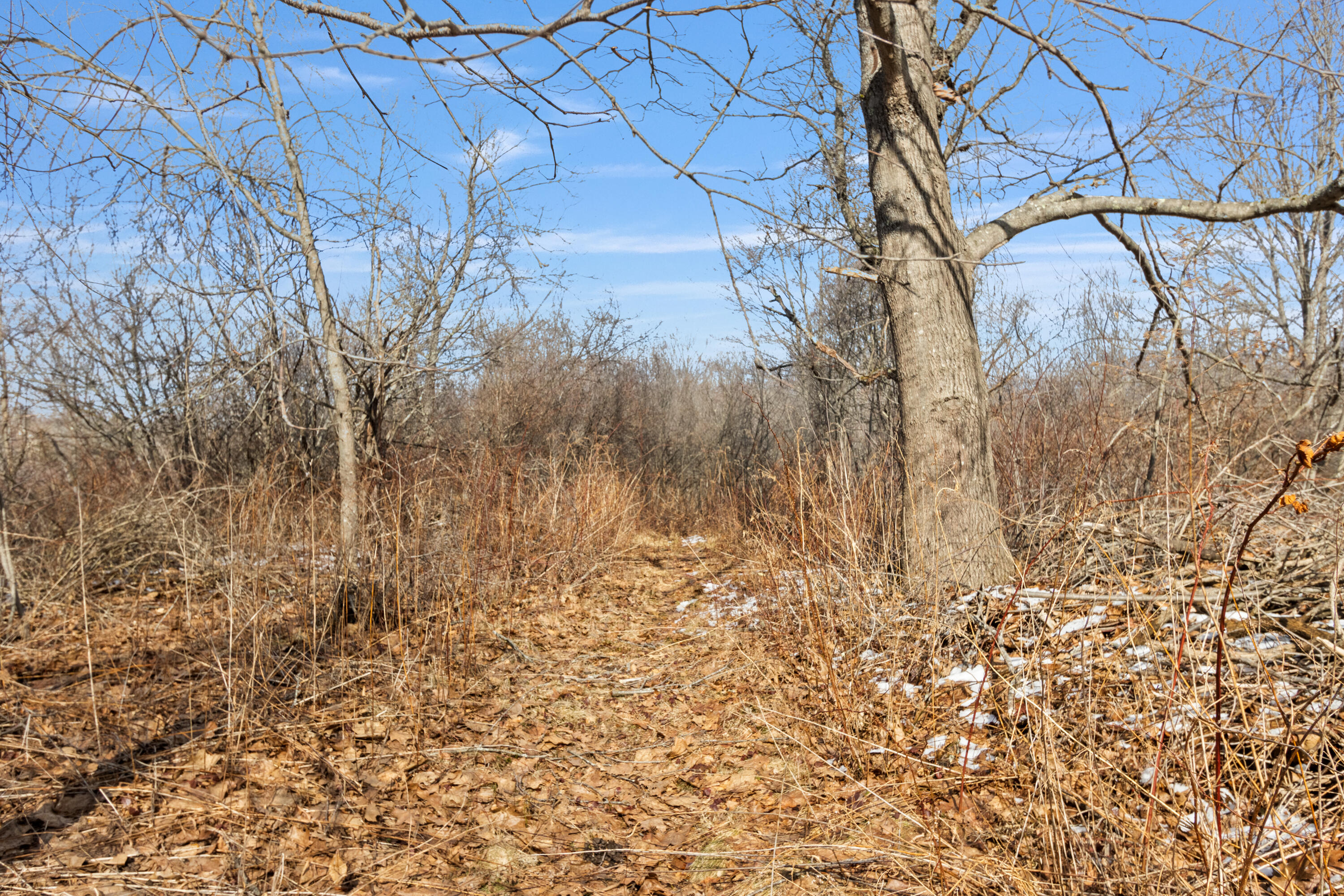 823 North Road North Yarmouth, ME 04097 - Photo 49 of 62 20260324LB-71072