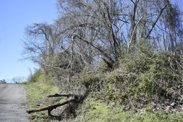 $7,500 | 1 7th Street, Rossville, GA 30741