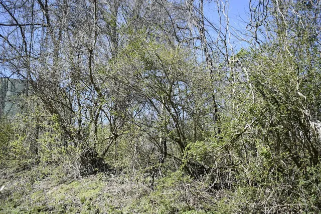 $7,500 | 1 7th Street, Rossville, GA 30741