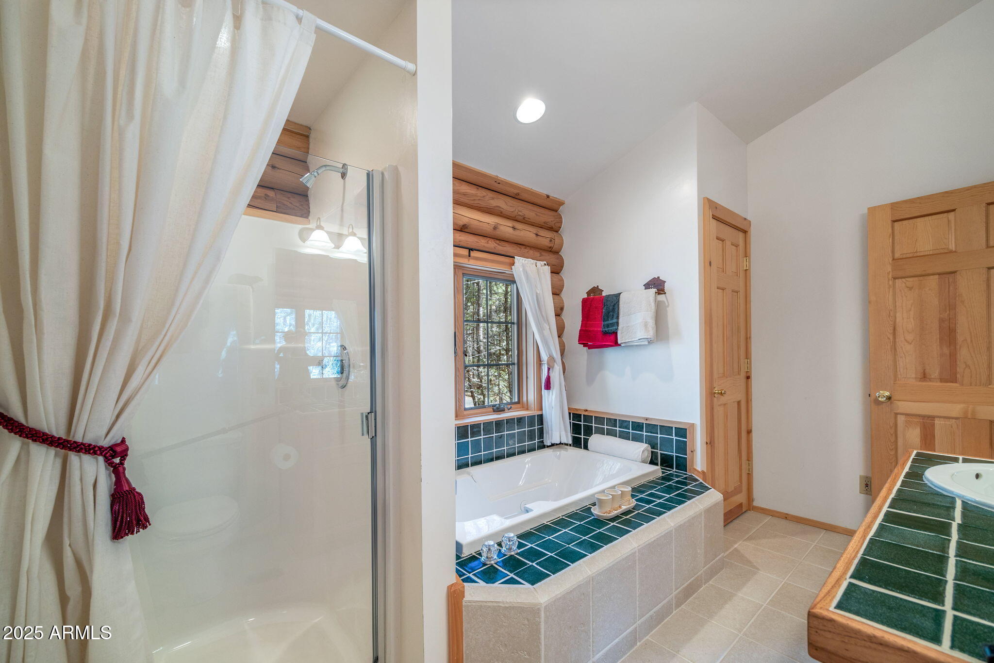 2677 Jackrabbit Drive Pinetop, AZ 85935 - Photo 18 of 87 Main Primary Bathroom