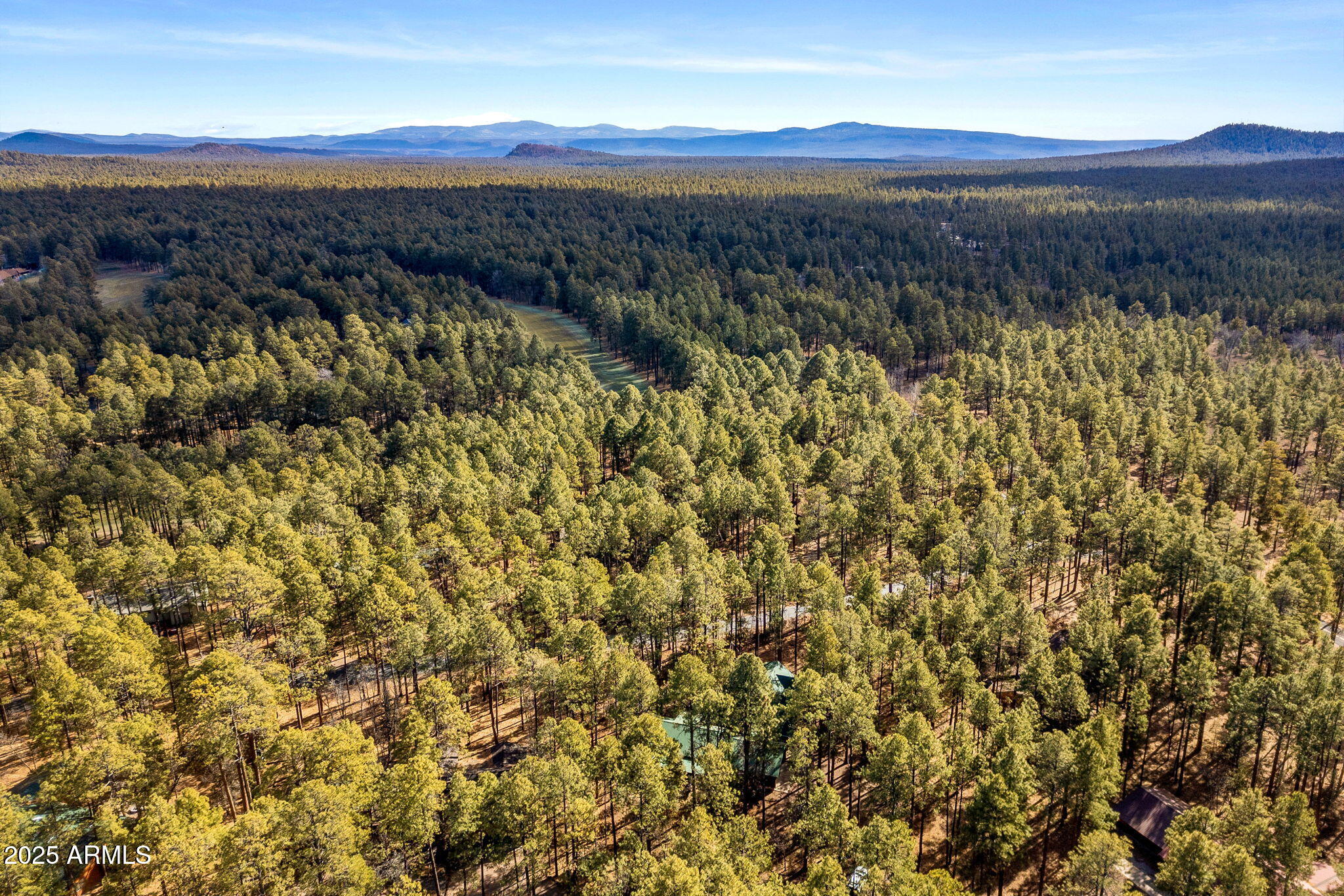 2677 Jackrabbit Drive Pinetop, AZ 85935 - Photo 59 of 87 a view of mountain view with mountain