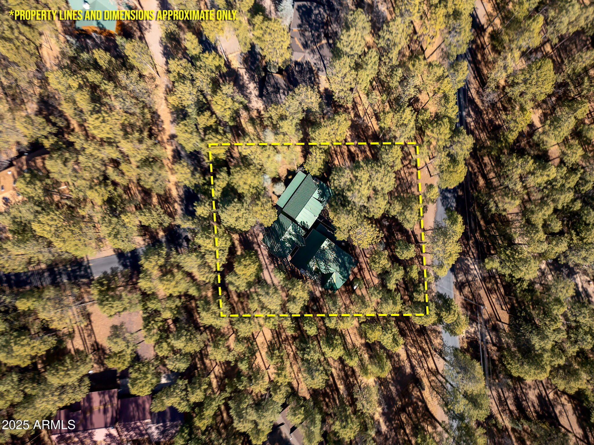 2677 Jackrabbit Drive Pinetop, AZ 85935 - Photo 61 of 87 63 DRONE