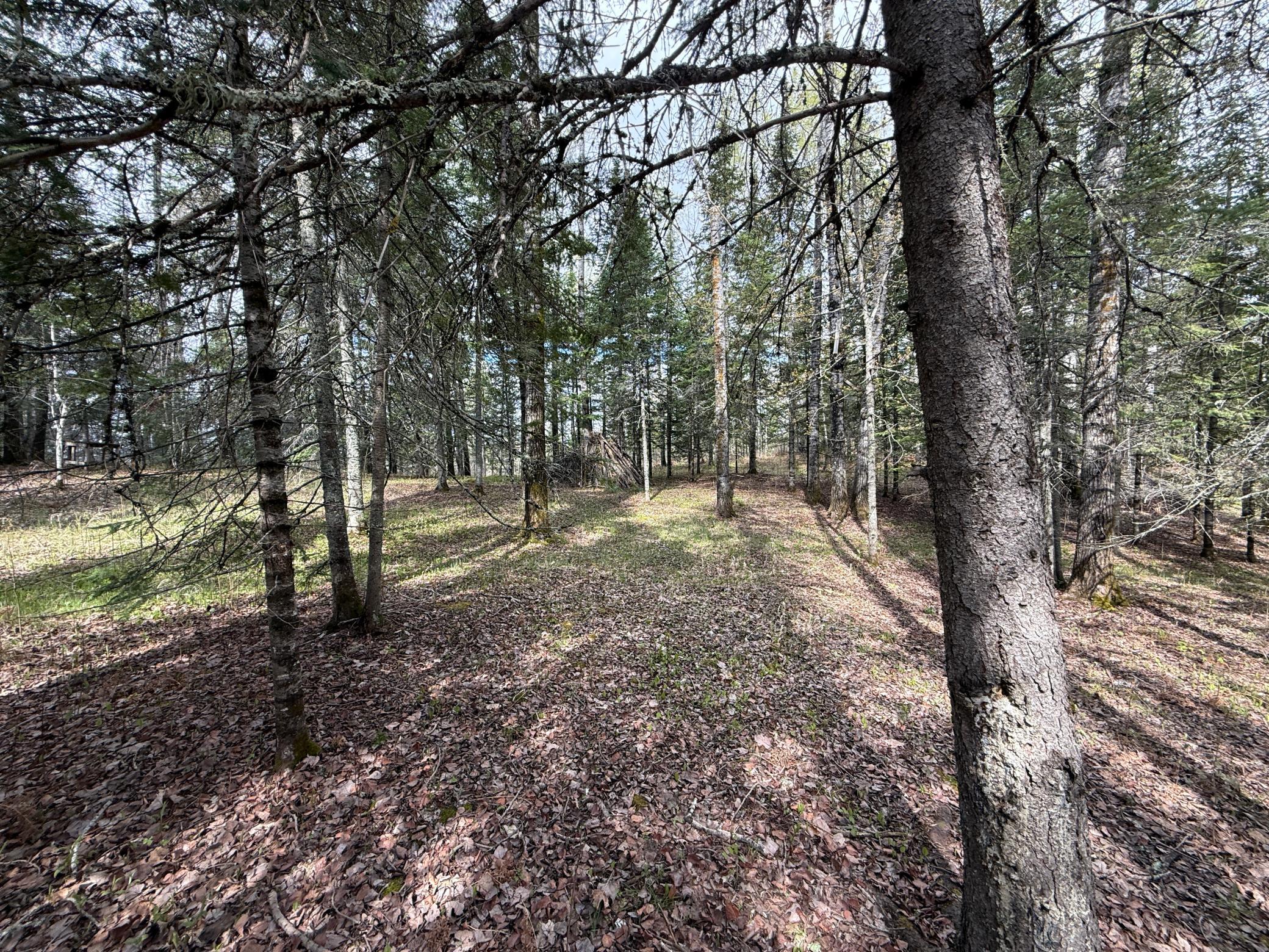 7355 West Melrude Road Cotton, MN 55724 - Photo 33 of 66