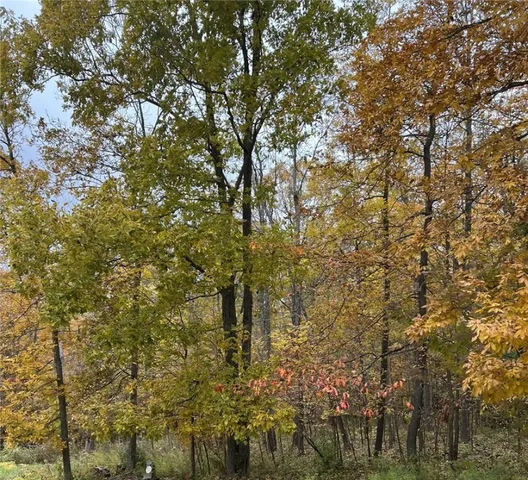 $45,000 | Steege Hill Road, Corning, NY 14830