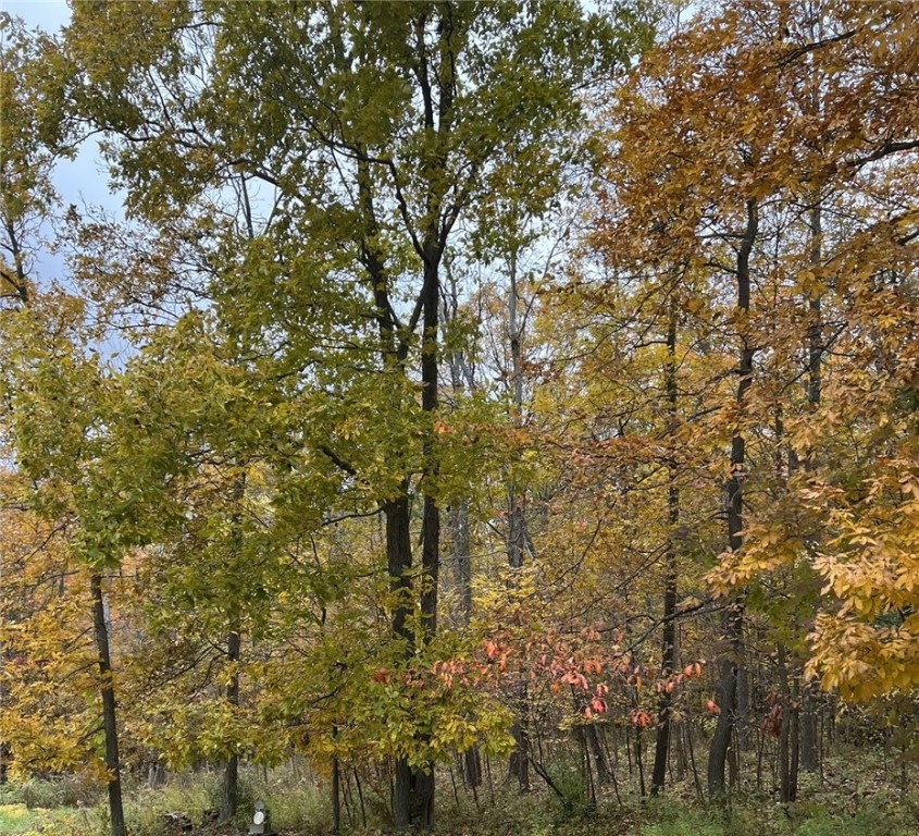 Steege Hill Road Corning, NY 14830 - Photo 11 of 17