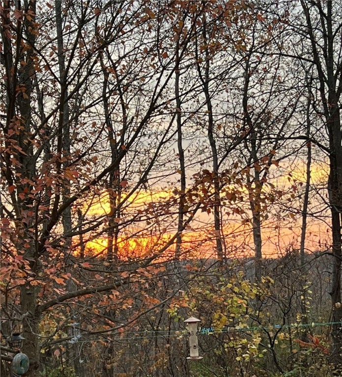 Steege Hill Road Corning, NY 14830 - Photo 12 of 17