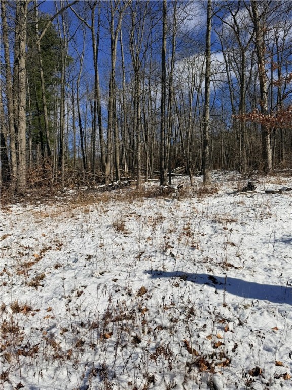 Steege Hill Road Corning, NY 14830 - Photo 15 of 17