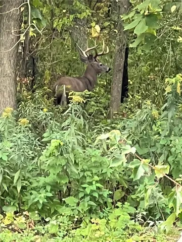 $45,000 | Steege Hill Road, Corning, NY 14830