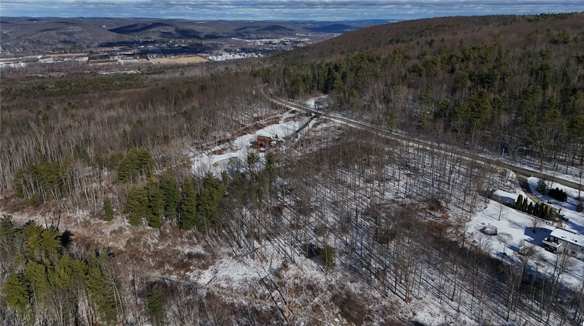 Steege Hill Road Corning, NY 14830 - Photo 4 of 17