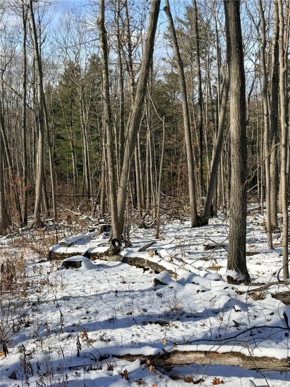 Steege Hill Road Corning, NY 14830 - Photo 5 of 17