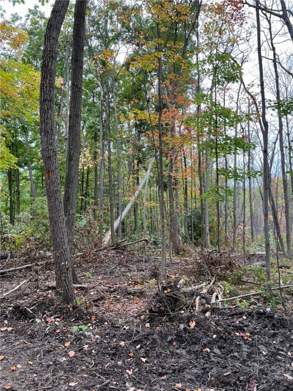 Steege Hill Road Corning, NY 14830 - Photo 6 of 17