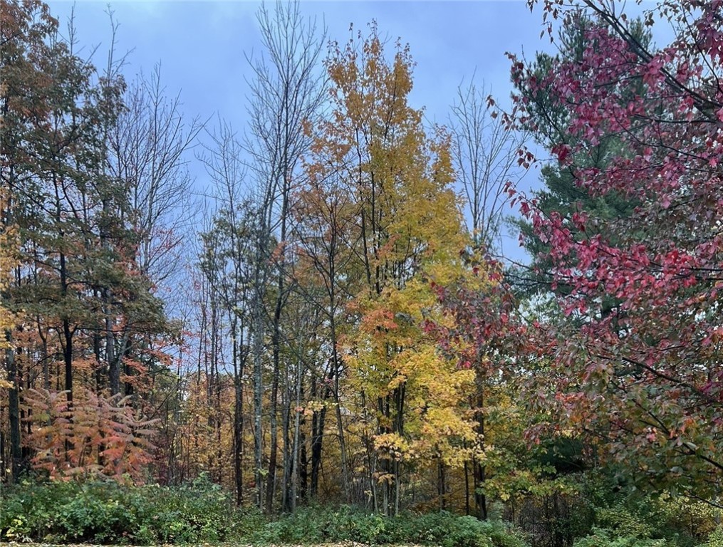 Steege Hill Road Corning, NY 14830 - Photo 7 of 17