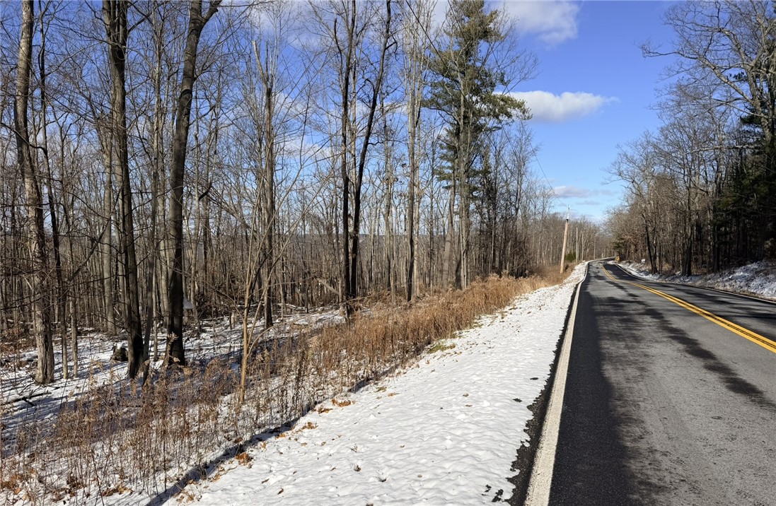 Steege Hill Road Corning, NY 14830 - Photo 9 of 17