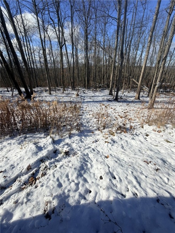 Steege Hill Road Corning, NY 14830 - Photo 10 of 17